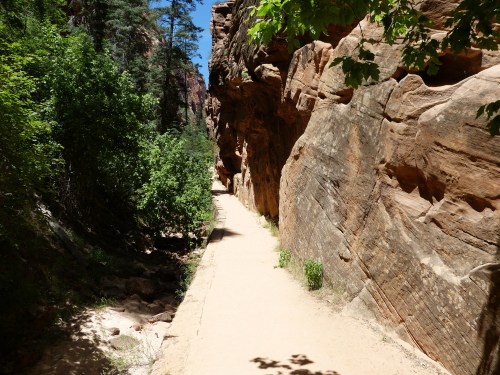 A narrow dirt path winds through a rocky canyon, surrounded by lush greenery and towering sandstone walls.
