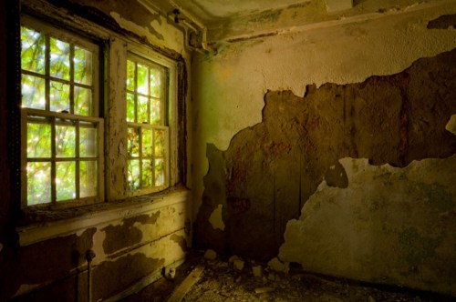 A dimly lit room with peeling walls and a window revealing green foliage outside.
