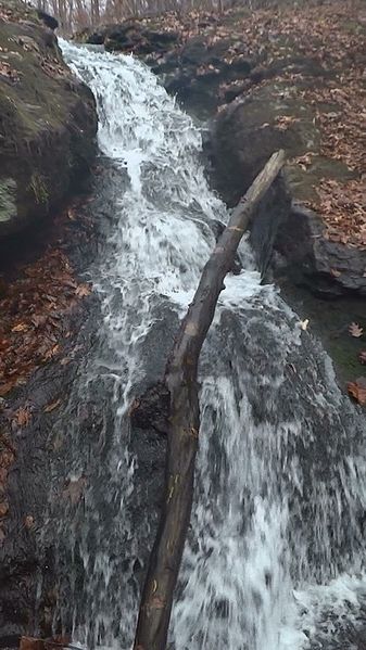 A small waterfall cascades over rocks, surrounded by autumn leaves and a fallen log.