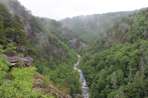 A misty valley with a winding river surrounded by lush green trees and rocky cliffs.