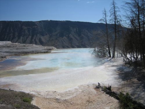 A serene geothermal pool surrounded by trees and mountains, with steam rising in a clear blue sky.