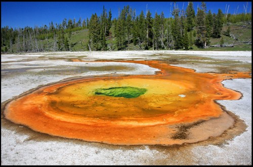 Vibrant geothermal pool with concentric orange and yellow rings, surrounded by a forested landscape under a clear blue sky.