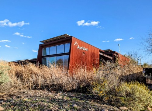 Modern Audubon building surrounded by tall grasses and shrubs under a clear blue sky.