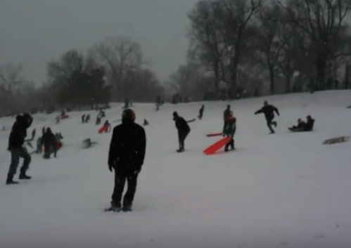 People sledding down a snowy hill, with trees in the background and a gray sky overhead.