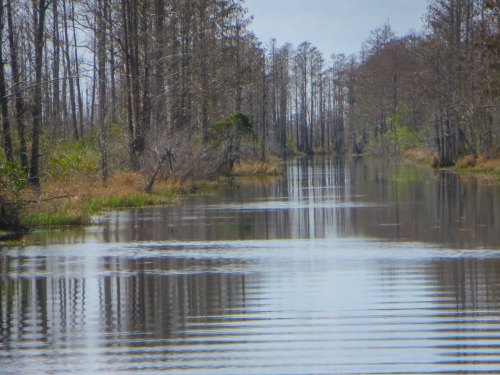 A serene waterway surrounded by trees, reflecting the sky and landscape, with gentle ripples on the surface.