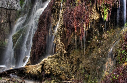 A cascading waterfall flows over moss-covered rocks, surrounded by lush greenery and earthy textures.