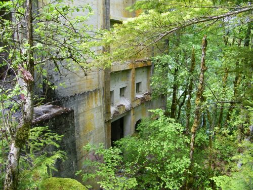 Abandoned concrete structure partially hidden by lush green foliage and trees in a forested area.