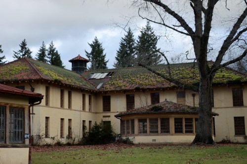 Abandoned building with moss-covered roof, surrounded by trees and a cloudy sky.