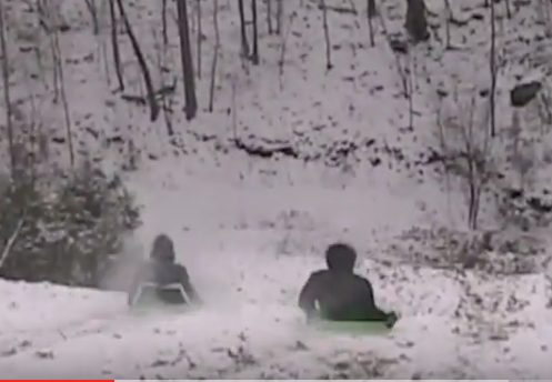Two people sledding down a snowy hill surrounded by trees in a black-and-white scene.