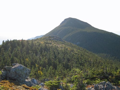 A scenic view of a mountain peak surrounded by lush green forests under a clear sky.