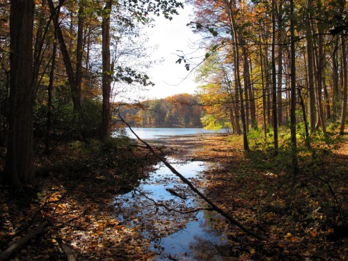 A serene lake surrounded by autumn trees, with colorful leaves reflecting on the water's surface.