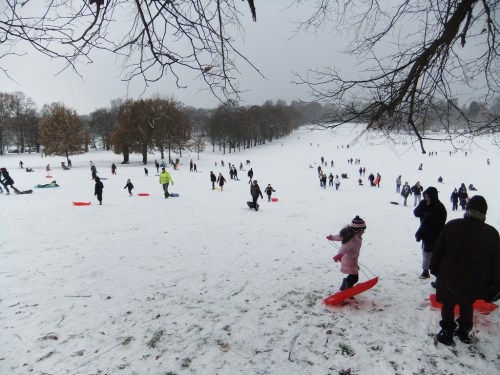 A snowy hill filled with people sledding and enjoying winter activities on a cloudy day.