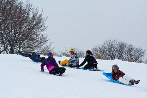 A group of children sledding down a snowy hill on colorful sleds, surrounded by bare trees and a gray sky.