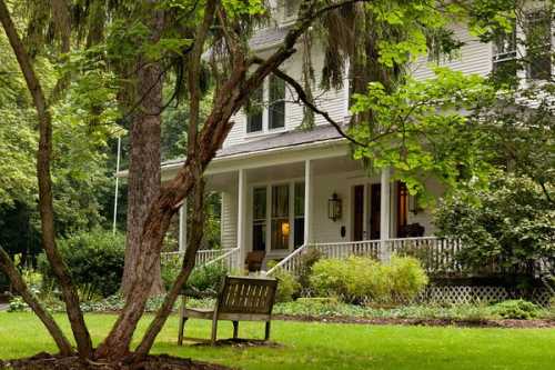 A charming white house with a porch, surrounded by greenery and a wooden bench under a tree in the foreground.