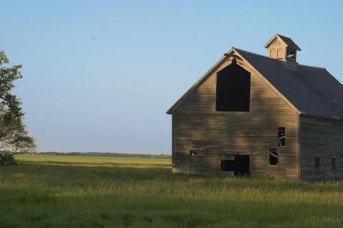 A weathered barn stands in a grassy field under a clear blue sky, with a distant horizon visible.