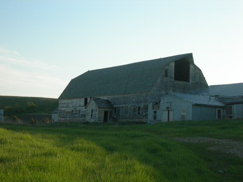 A weathered barn stands in a grassy field under a clear sky, showcasing rustic architecture and rural charm.