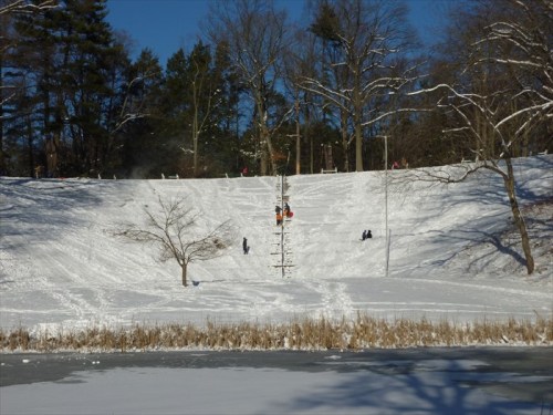 A snowy hill with people sledding and a ladder for climbing, surrounded by trees and a frozen lake in the foreground.