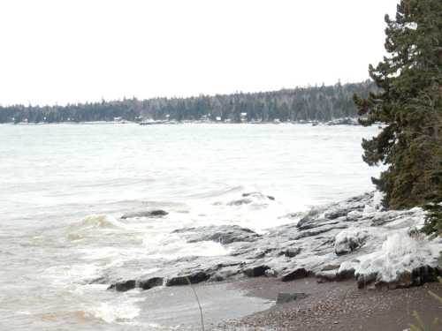 A rocky shoreline with gentle waves, surrounded by trees and a distant forested area under a cloudy sky.