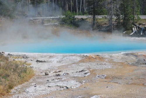 A vibrant blue hot spring surrounded by steam and rocky terrain in a forested area.