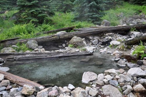 A natural hot spring surrounded by rocks and logs, with lush greenery in the background.