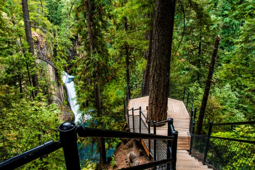 A wooden viewing platform surrounded by lush green trees, overlooking a waterfall in a forested area.