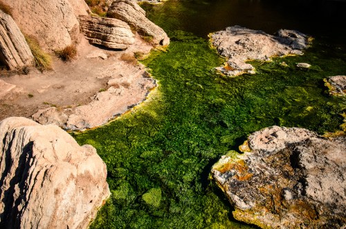 A serene landscape featuring green algae in clear water, surrounded by rocky terrain and natural formations.