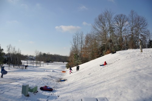 Children sledding down a snowy hill on a clear winter day, with trees and a distant landscape in the background.