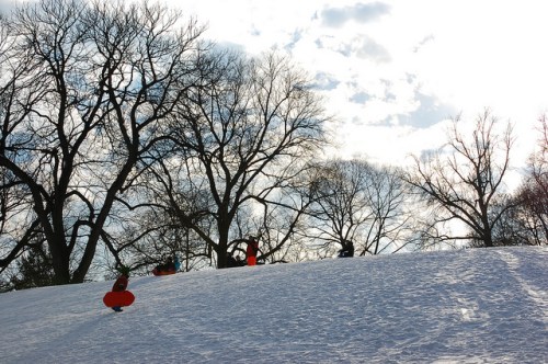 People sledding down a snowy hill, surrounded by bare trees and a cloudy sky.