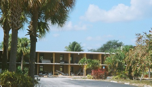 Abandoned building surrounded by palm trees and overgrown vegetation under a clear blue sky.