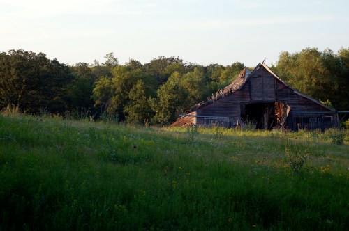 A weathered barn stands in a lush green field, surrounded by trees under a clear sky.