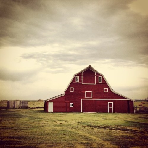 A red barn stands in a grassy field under a cloudy sky, with a distant fence line visible.