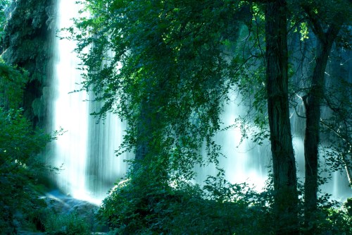 A serene waterfall cascades through lush greenery, surrounded by trees and soft, dappled light.