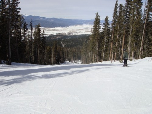 A skier on a snowy slope surrounded by tall pine trees, overlooking a valley and distant mountains.