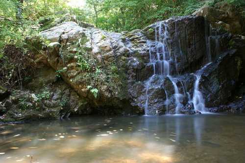 A serene waterfall cascades over rocks into a calm pool, surrounded by lush green foliage.