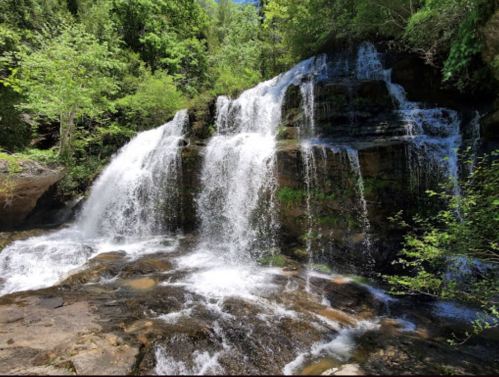 A serene waterfall cascading over rocks, surrounded by lush green trees and foliage. Sunlight filters through the leaves.