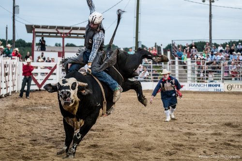 A cowboy rides a bucking bull at a rodeo, with spectators watching in the background. Dust and excitement fill the air.