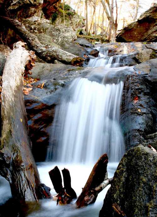 A serene waterfall cascades over rocks, surrounded by autumn foliage and fallen branches in a tranquil forest setting.