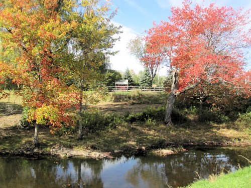 A serene landscape featuring a stream, vibrant autumn trees, and a wooden fence in the background under a clear blue sky.