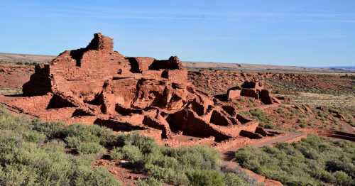 Ancient red rock ruins surrounded by desert vegetation under a clear blue sky.