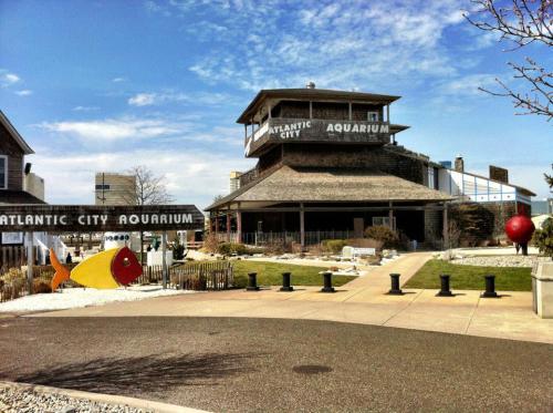 Exterior view of the Atlantic City Aquarium, featuring a multi-level building and colorful sculptures in the foreground.