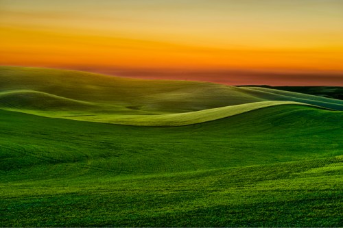 Rolling green hills under a golden sunset sky, creating a serene and tranquil landscape.
