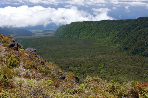 A lush green valley surrounded by steep cliffs under a cloudy sky, showcasing vibrant vegetation and distant mountains.