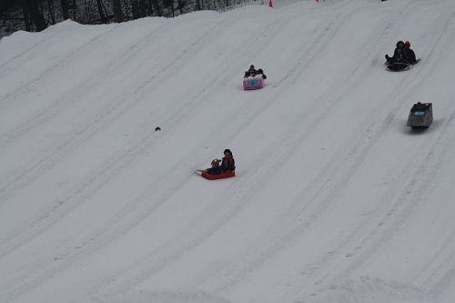 Children sledding down a snowy hill, enjoying a winter day with tracks visible in the snow.