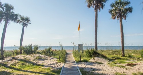 A sandy path leads to a beach with palm trees and a yellow flag, overlooking the calm ocean under a clear blue sky.