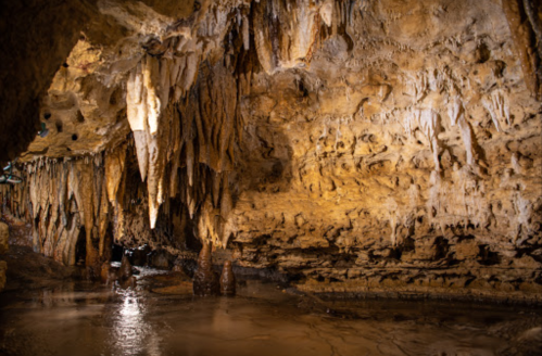A cave interior featuring stalactites and stalagmites, with water pooling on the rocky floor.