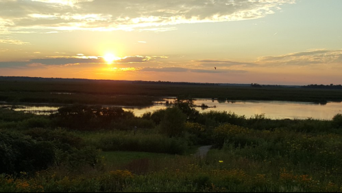 A serene sunset over a calm lake, surrounded by lush greenery and vibrant wildflowers.