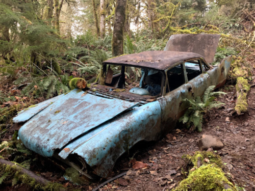 An old, rusted blue car is partially covered in moss and surrounded by dense greenery in a forested area.