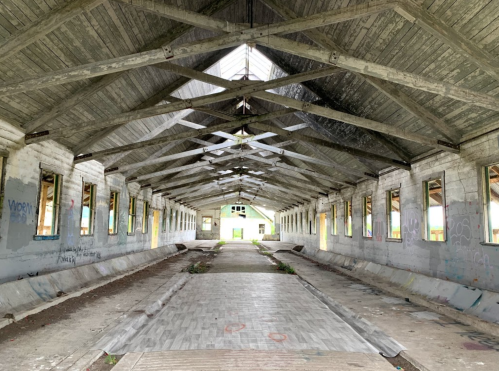 Interior of an abandoned building with a wooden ceiling, empty space, and graffiti on the walls. Natural light filters in.