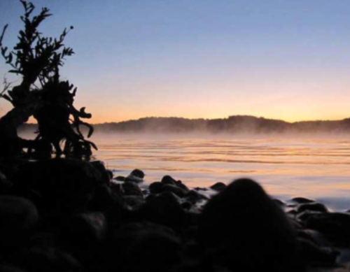 A serene lakeside view at dawn, with mist rising over calm waters and a silhouette of trees against a colorful sky.