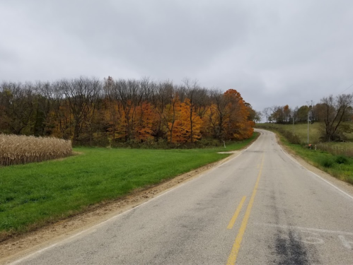 A winding road bordered by green grass and autumn trees with orange leaves under a cloudy sky.